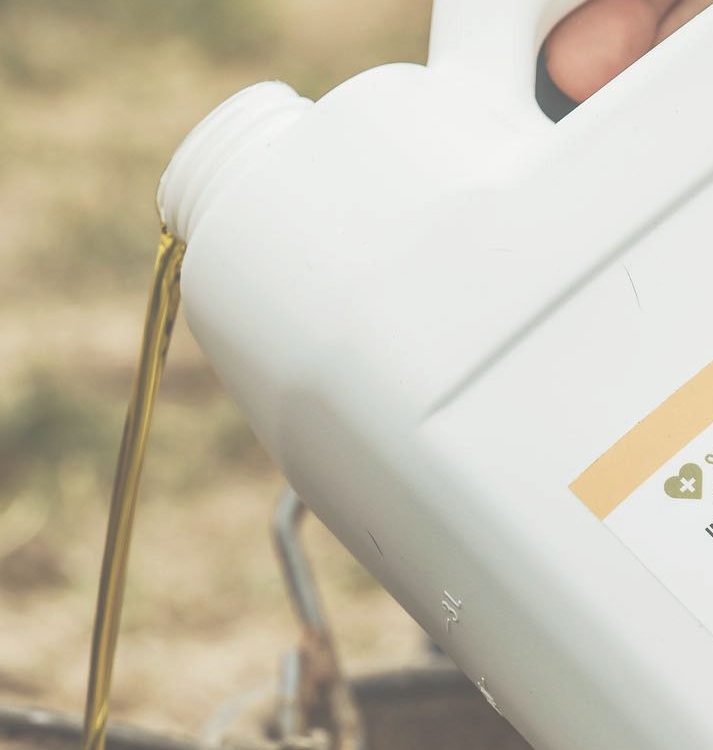 Hemptana_FB_hempseed_oil_crop-2.jpg