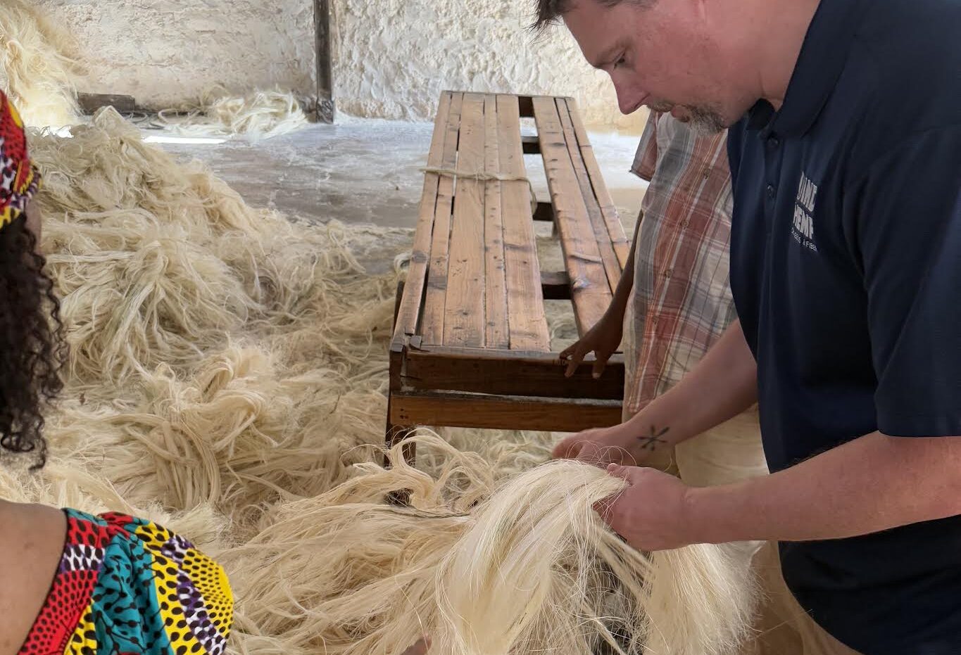 Industrial Hemp in Kenya: A Landmark Step Toward Sustainable Growth in East Africa 