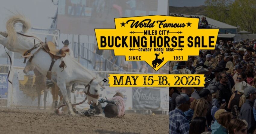Supporting Tradition and Performance: Hemptana Returns to the 2025 Miles City Bucking Horse Sale