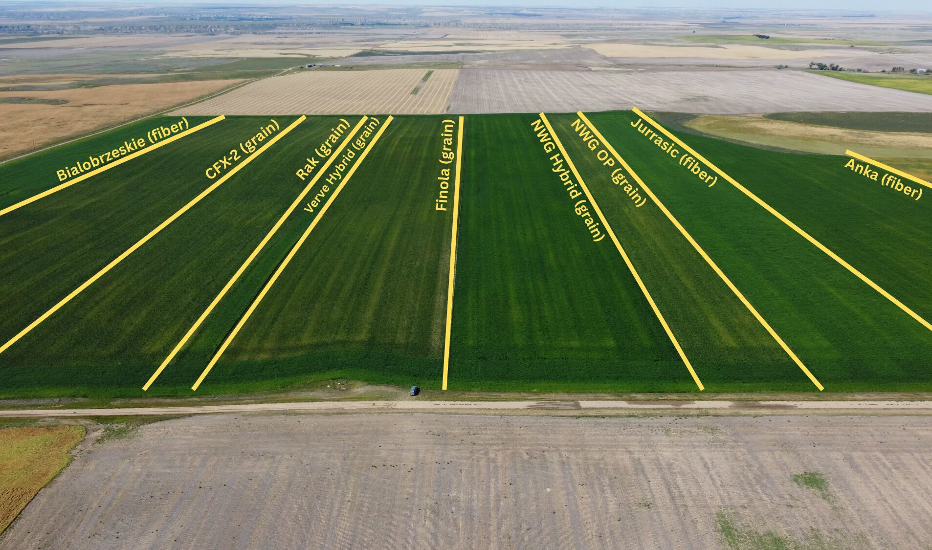 Field Trials in Motion. Evaluating Hemp Varieties at IND HEMP’s DeBordes Location.