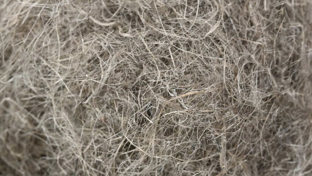 industrial hemp fiber